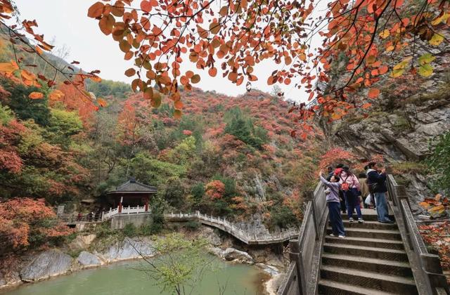 这才是秋天该有的样子~