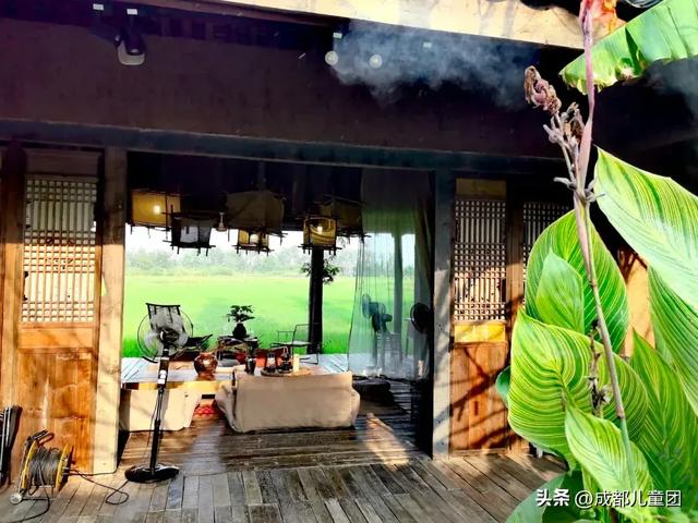 夏天一定要看一次稻田！这4处可看，还能喝下午茶逛博物馆