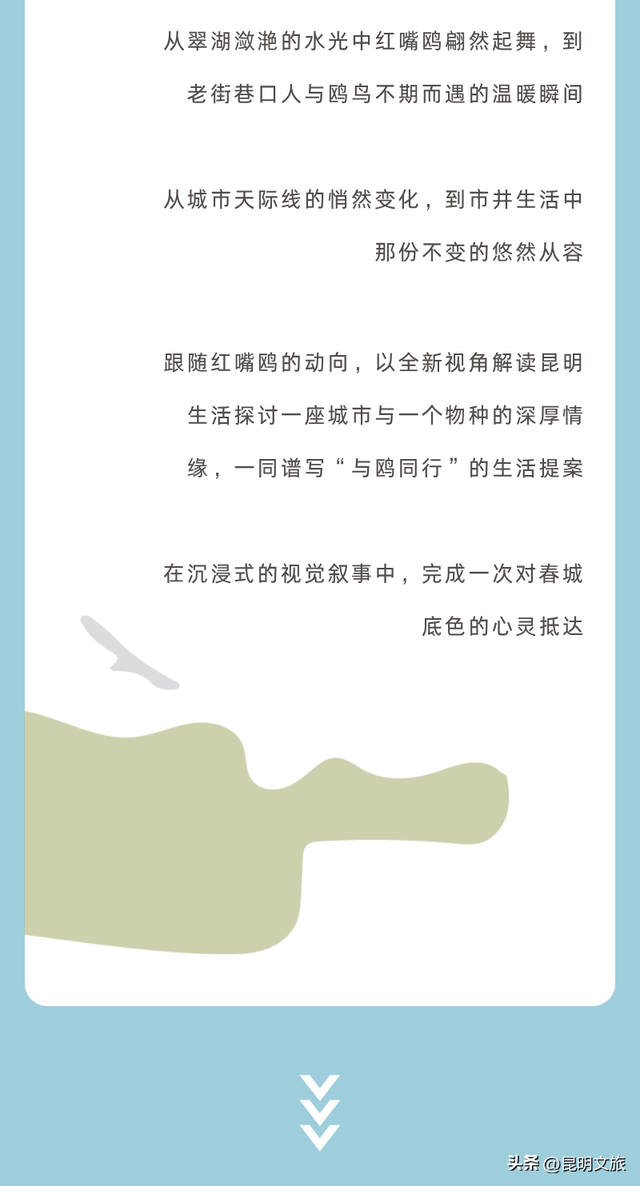 活动预告 | 春城生活主义 ·「 鸥遇正好 」