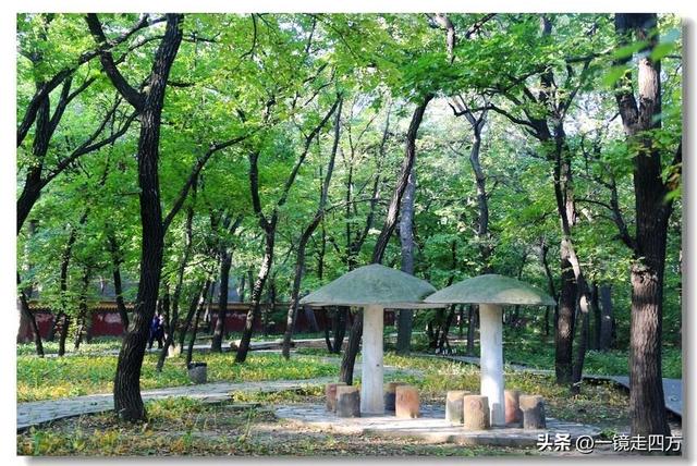 沈阳东陵郊野公园“精灵”出没