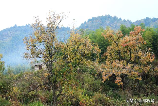 秋色塔川，无梦到徽州