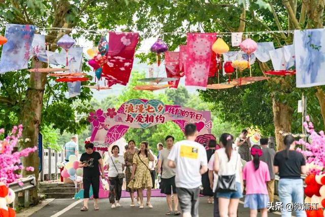 八月，于旷野中遇见成都蒲江~