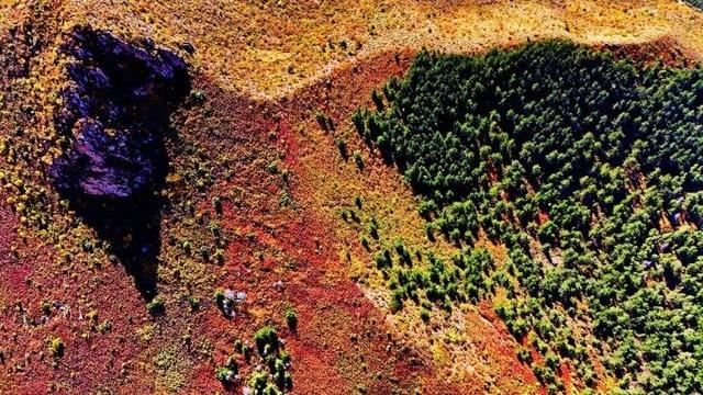 走进赤峰马鞍山林场 邂逅绚烂山林秋色