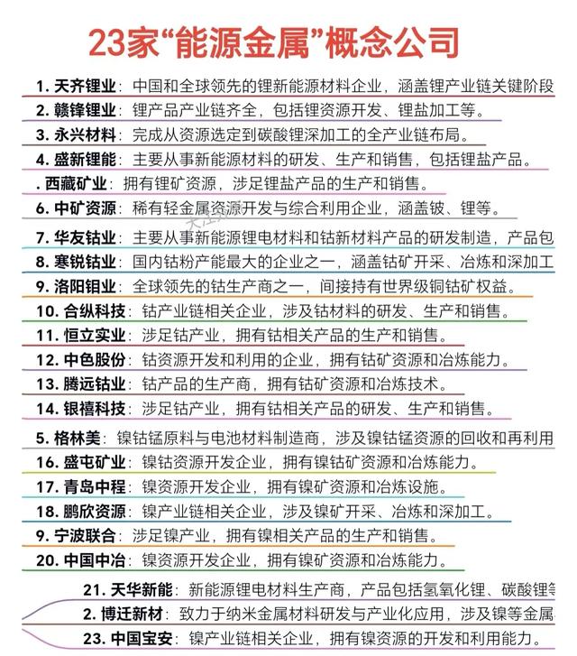 金力永磁深度分析：全球高性能钕铁硼领域的领航者