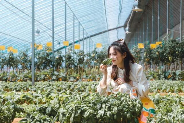 攻略来了！在五莲，这样跨年→