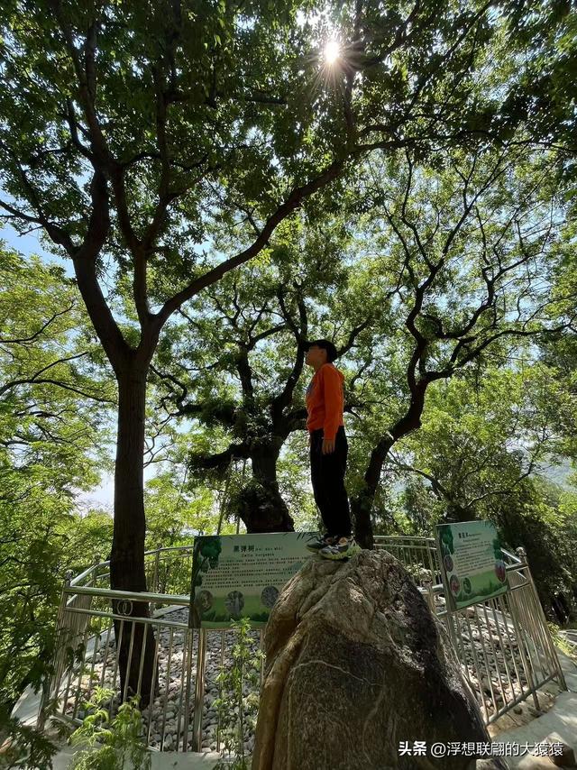 这回去莱芜爬山，目的地：永宁崮，却误打误撞又进了大舟院