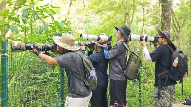 创新之问 | 黄山文旅如何重构“诗与远方”？| 有一种团圆在徽州 | 皖美秋日