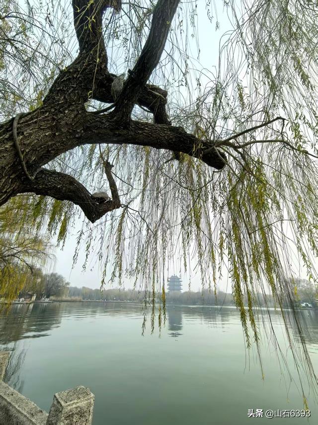 新华社原军事记者陶俊峰泉城美拍：《冬雾中的大明湖》