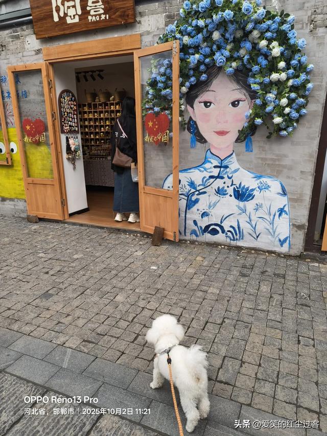 我的旅行日记——“北方旱地水城”,“太极拳之乡”之广府古城