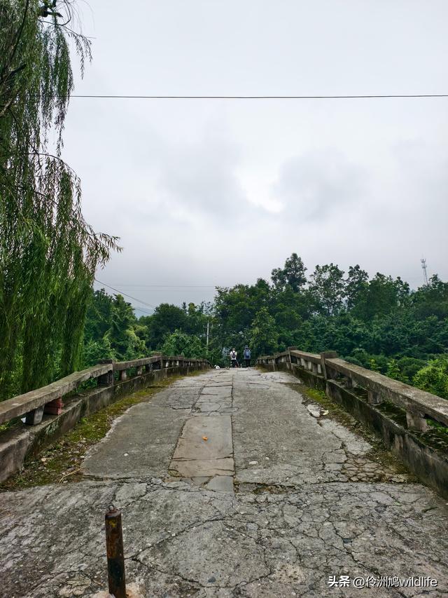 成都徒步（69）·彭州篇⑯法藏寺环线（桥断未走通）