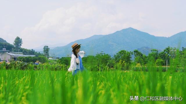 节气仁和 | 立秋来信，仁和的仪式感从不迟到