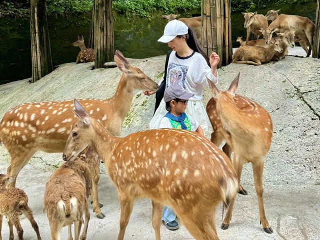 “秋假”开耍！带着小宝来雅安准没错！