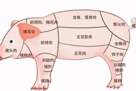 猪身上最好吃的几个部位的肉，你认为五花肉排在第几？图片