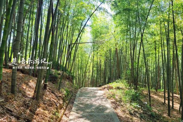 浙江宁波的竹林双古道，被誉为治愈系徒步胜地，景色宜人值得游玩