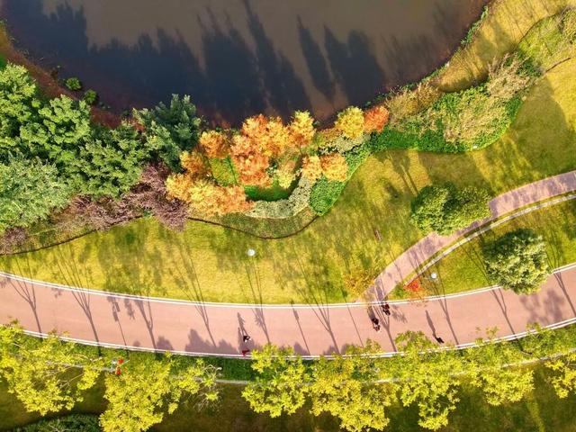 爱你老己，周末仁寿见！