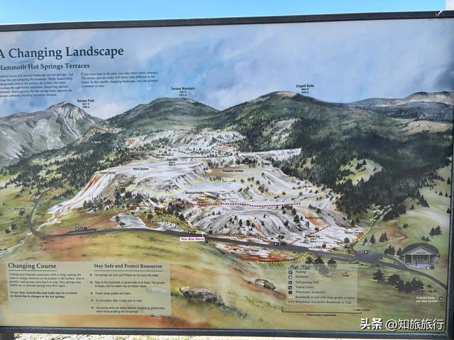 2025环球知旅——美西十三日（黄石公园5.10）