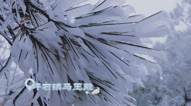 朋友圈C位预告！韶关雾凇限时上线，这片赏冰秘境地图等你来打卡