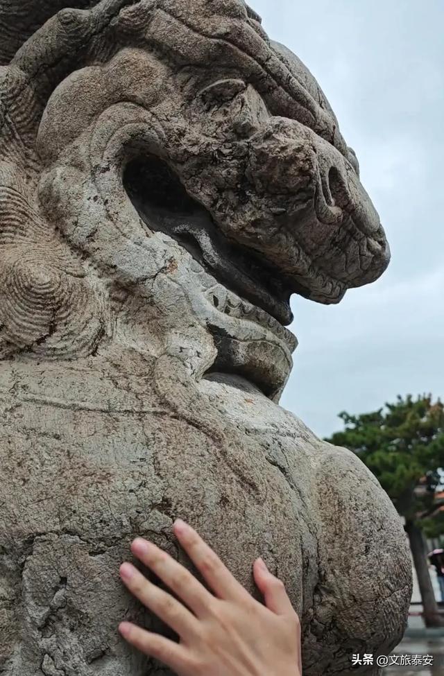 美极啦！下雨天去上班，小泰竟发现岱庙不同以往的一面→