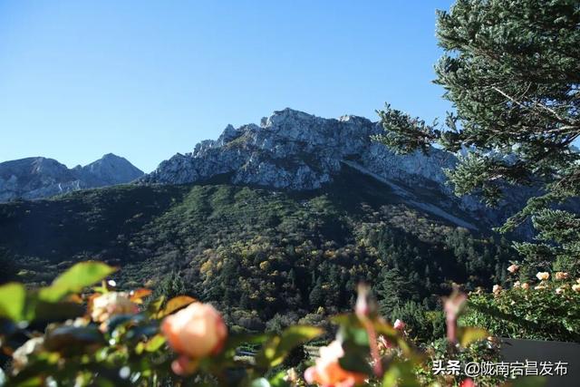 国庆登雷古山：红染群山处 云海伴咖啡