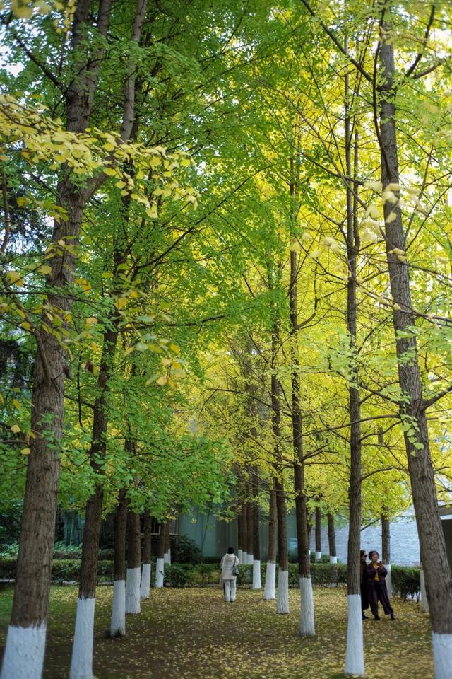 这个“名牌加身”的西南山城，正适合淡季来玩！