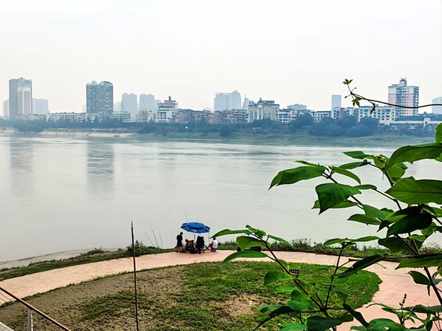 四川旅游：三到两佛山曲折纪行（图）