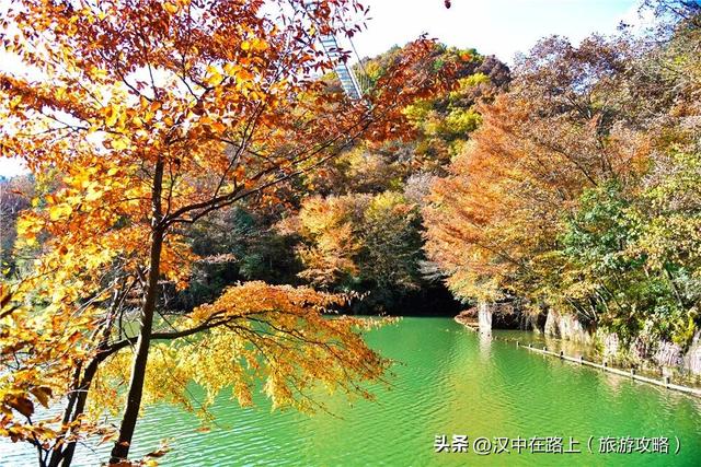 汉中秋景天花板！汉江源的红叶云海，藏不住的惊艳