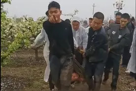 叶县强拆果园事件，需查清三个问题图片