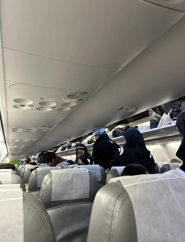 上海市民已在飞往新加坡的飞机上，突然想起燃气灶煮着鸡蛋未关火