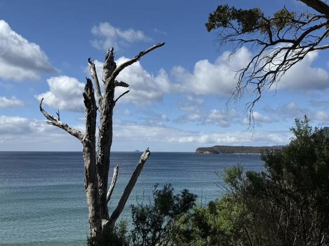 澳大利亚22日世界文化遗产与自然之旅游记+攻略