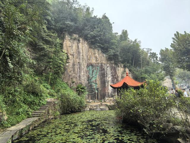 浙江湖州市德清县莫干山国家级风景名胜区游记（上）