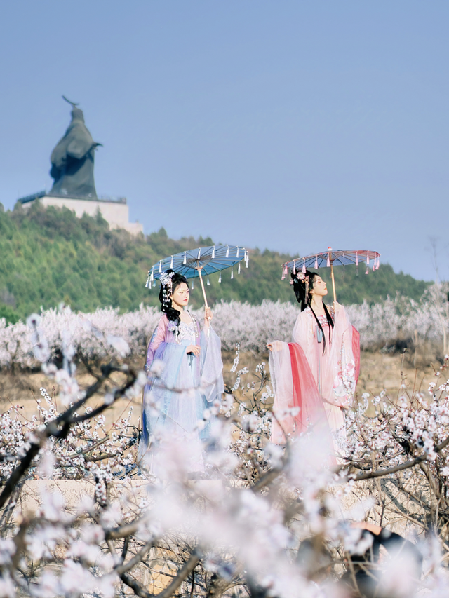 下一站，抵达“霓裳里的河南”！