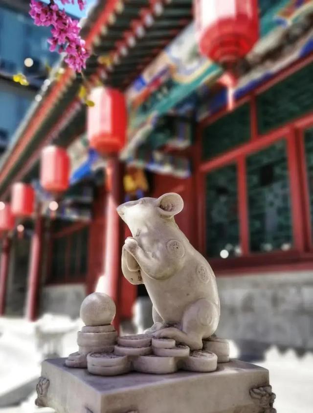 半夜惊醒、厌重复、想辞职？属鼠人迎来人生优化期