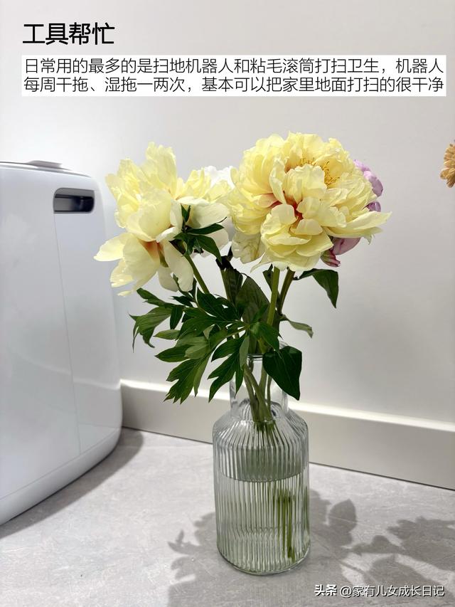 断舍离掉没必要的10种家务，收获满满，日子反而清爽多了