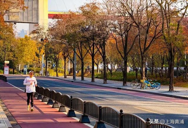 最美的季节！一起来静谧斑斓的黄浦滨江晨跑吧！