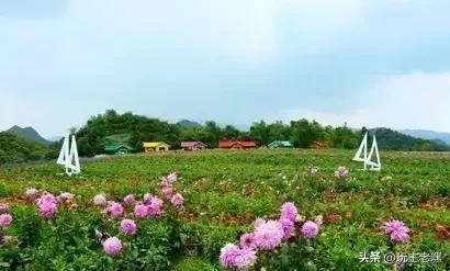 疆藏云贵行99，彝山花谷