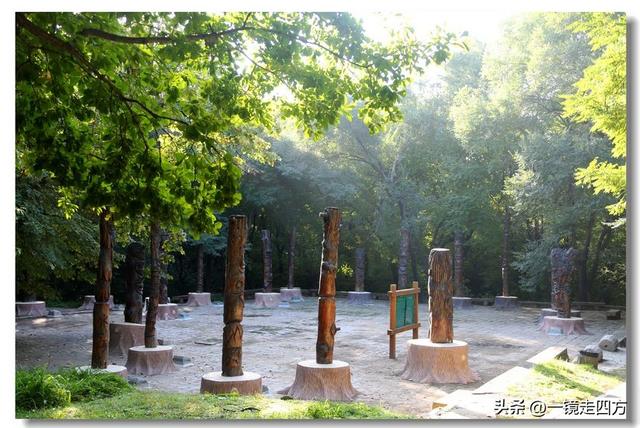 沈阳东陵郊野公园“精灵”出没