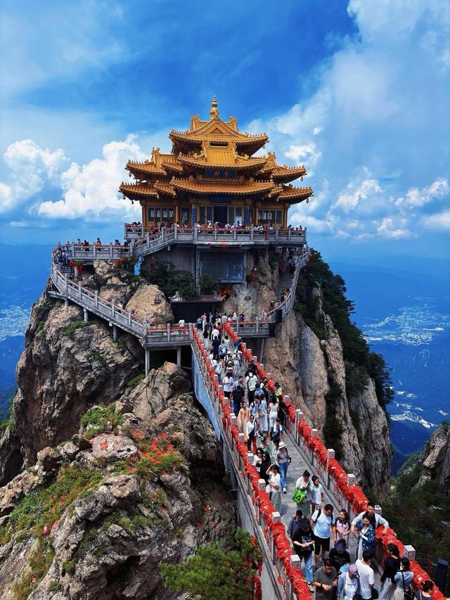 北京没想到	，上海也没想到，这回轮到洛阳低调出圈了