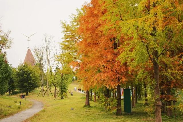 冬崃｜在泉水湖湿地公园，收藏整个冬天的浪漫与生机~