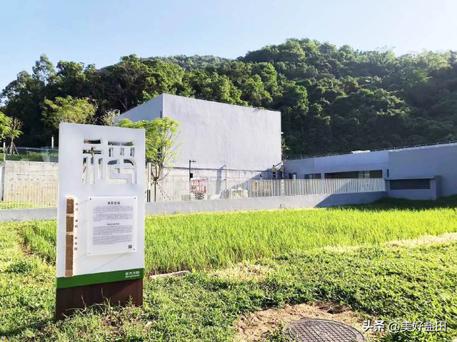 想去！华大时空中心遛娃攻略来啦！