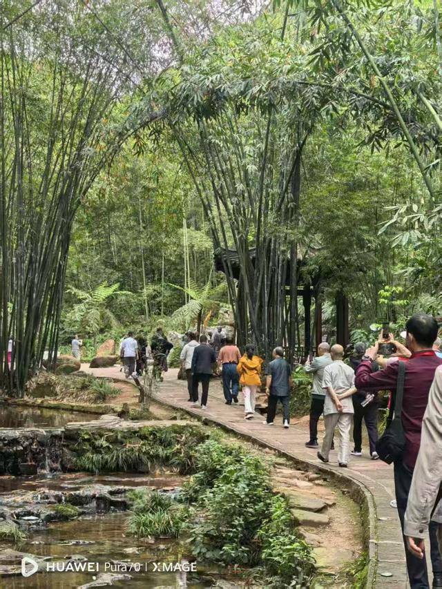 宜宾蜀南竹海游记 38军113师炮兵团火箭炮十连宜宾联谊会素描之二
