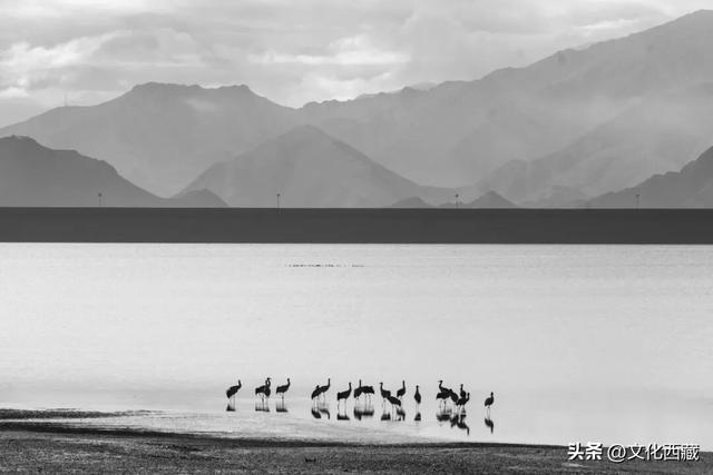 接下来，拉萨的冬天美哭你！