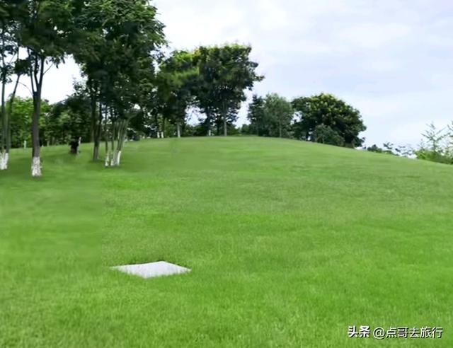 地铁直达！成都又一公园美爆！纯白葱兰花海超壮观，不要门票！