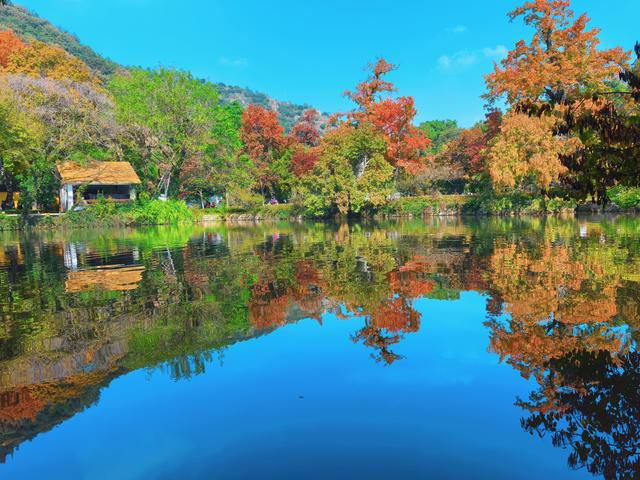 又见天平山：一叶知秋，一枫醉心