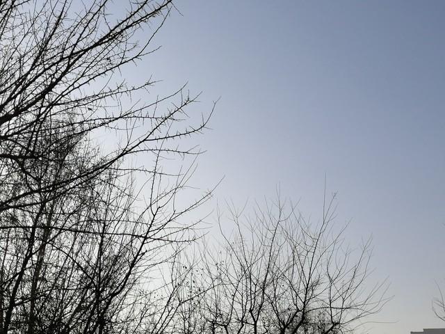 99年网吧通宵，邻座的女孩靠我肩上睡着了，呼吸都喷在我脖子上