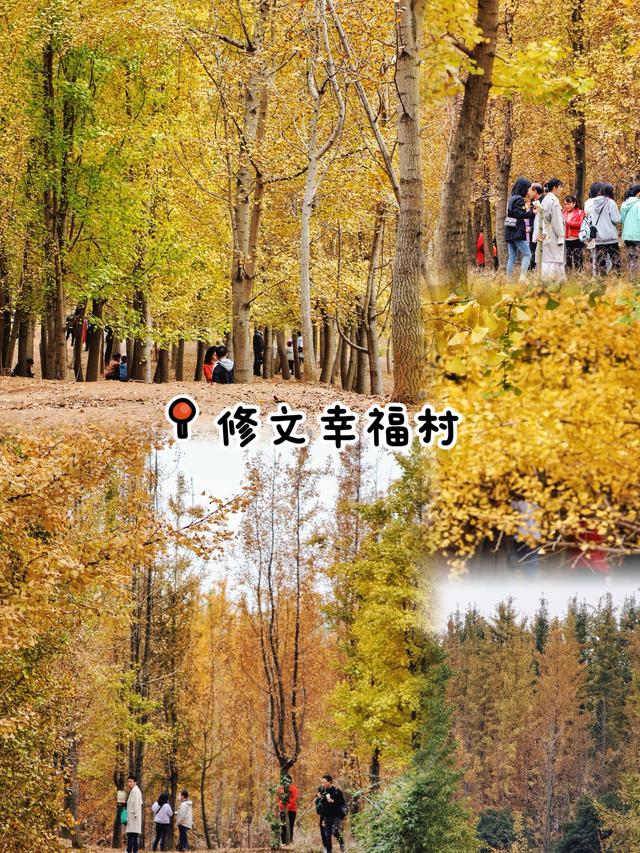 🌲别再去观山湖公园挤了！这9个小众地同样美到爆