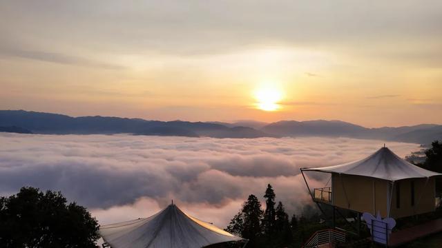 绿春县迷克茶山:云巅日出,一场温柔奔赴