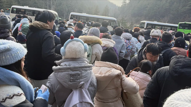 2026马年春节假期，全国最堵十大景区出炉：一眼望不到边的人头！