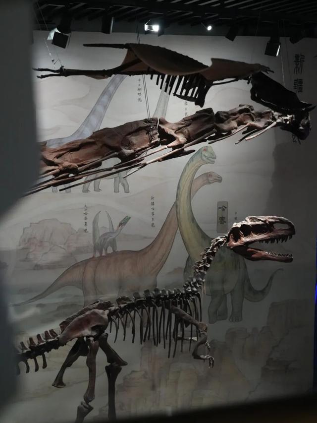 一份乌鲁木齐博物馆地图