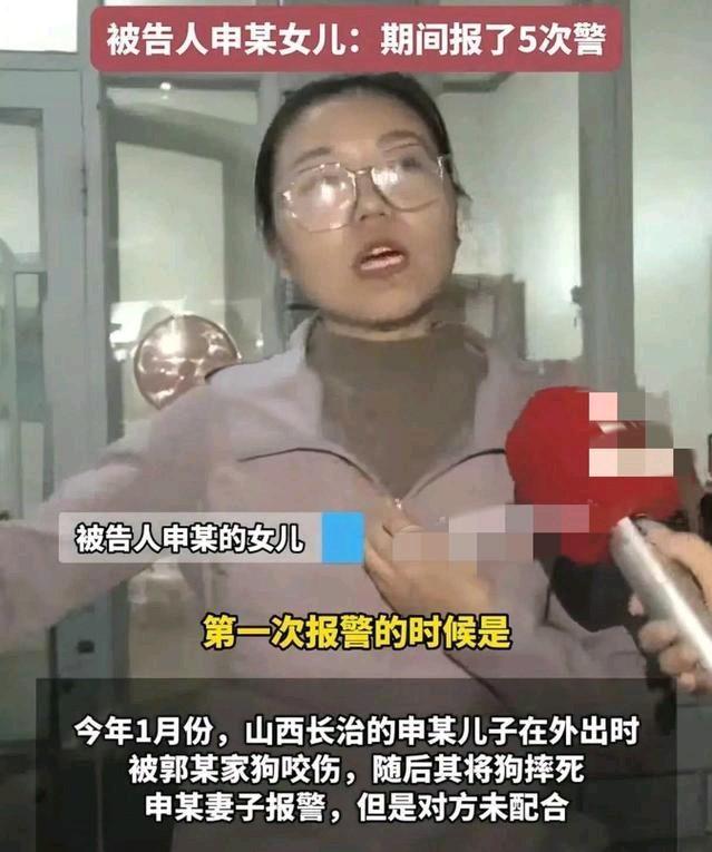 申家儿子事发为何不在家？狗咬人事件新细节：原告说等着打架电话