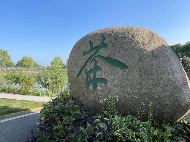 总投资116万，丹阳司徒镇“茶文化园”免费开放